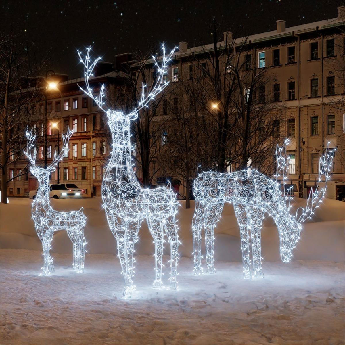Семья оленей